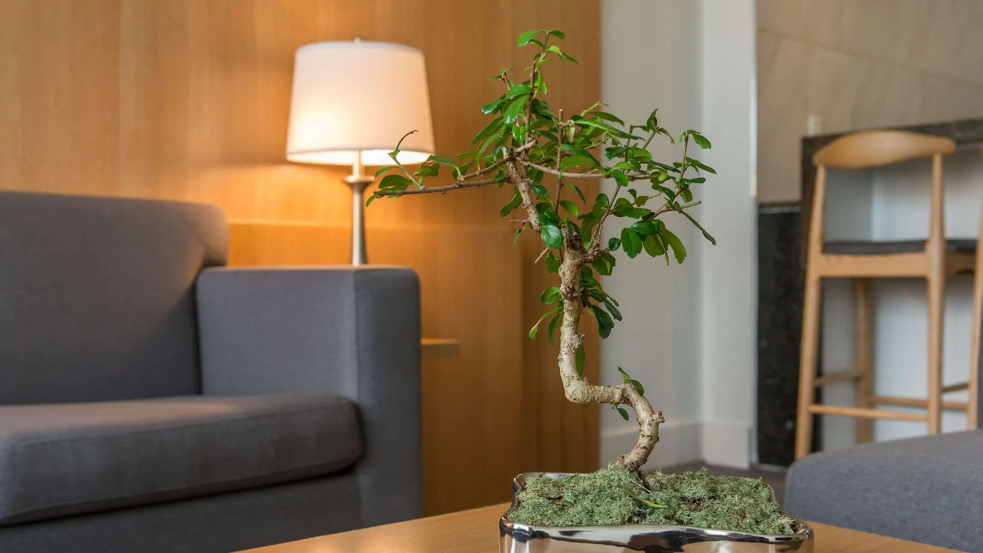 The West Wing Boutique Hotel Tampa